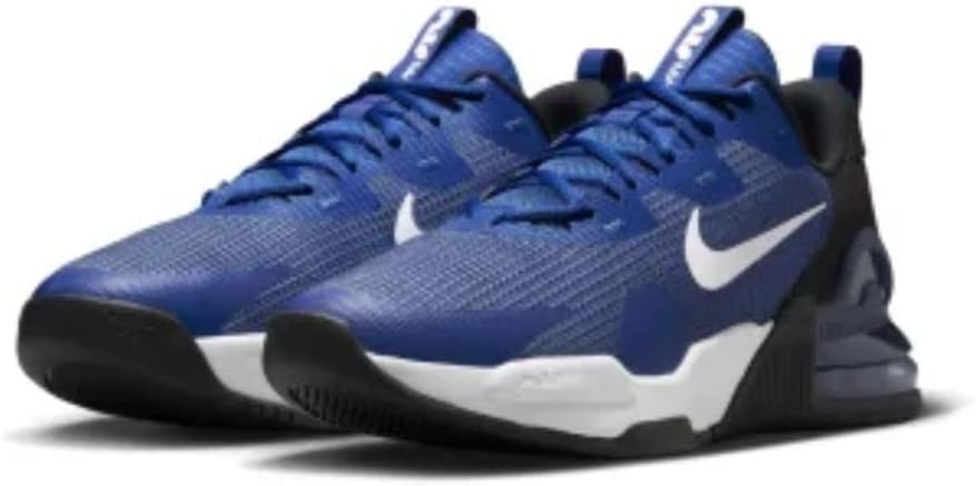 Nike Sport Low Top