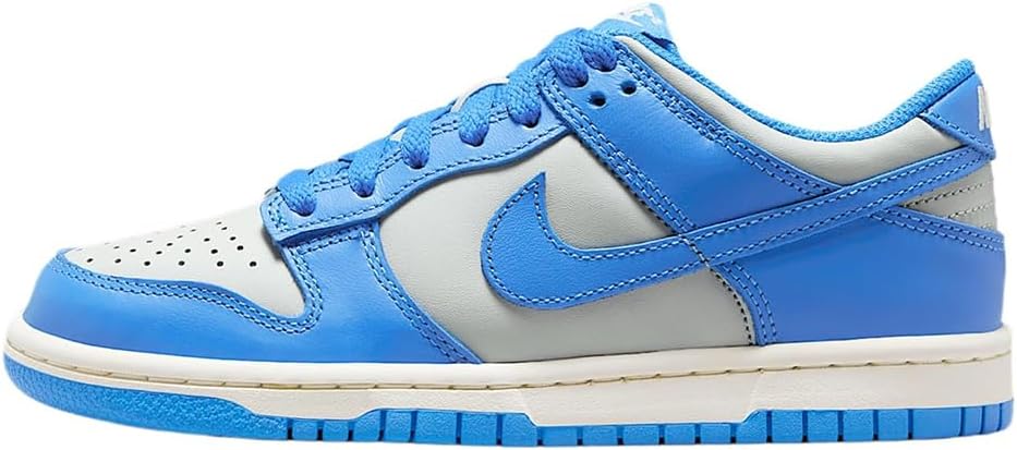 Nike Dunk Low Shoes