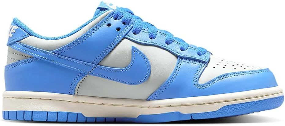 Nike Dunk Low Shoes